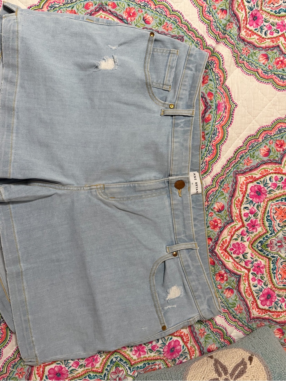 Lane Bryant Light Wash Distressed Jean Shorts